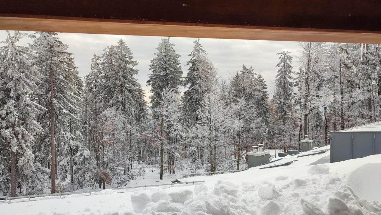 Pohorje Pearl Lux, 2-Floor Apartment Hočko Pohorje Eksteriør bilde