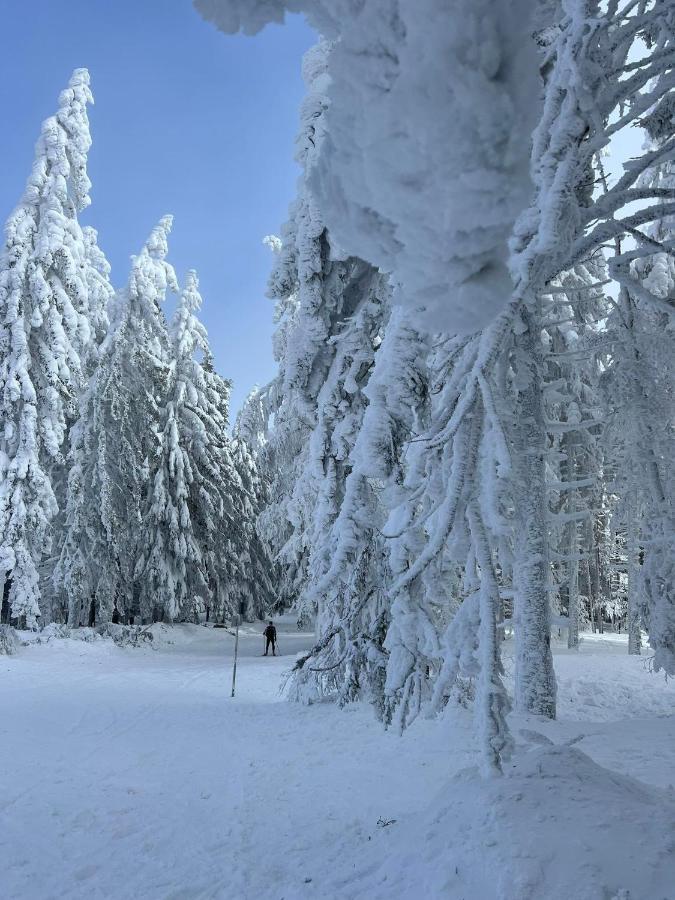 Pohorje Pearl Lux, 2-Floor Apartment Hočko Pohorje Eksteriør bilde